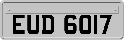 EUD6017