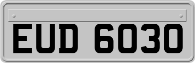 EUD6030