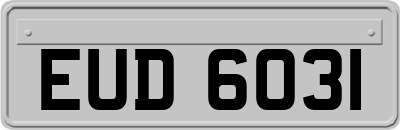 EUD6031