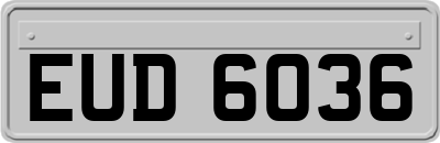 EUD6036