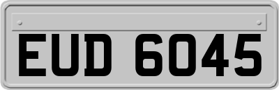 EUD6045