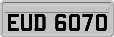 EUD6070