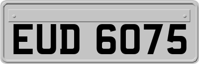 EUD6075