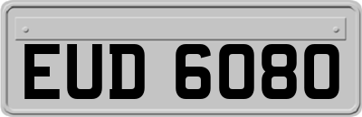 EUD6080