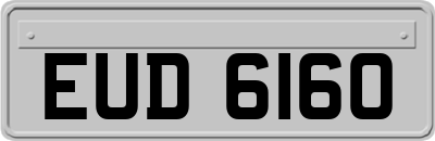 EUD6160