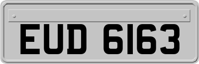 EUD6163
