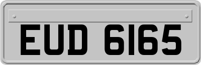 EUD6165