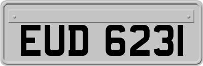 EUD6231