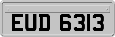 EUD6313