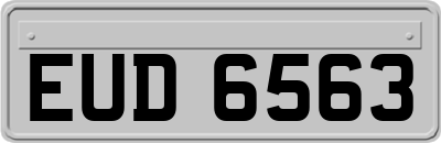 EUD6563