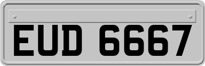 EUD6667