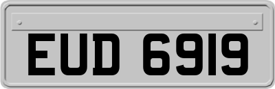 EUD6919