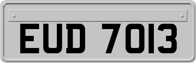EUD7013