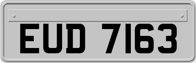 EUD7163