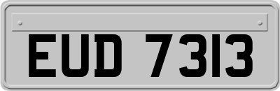 EUD7313