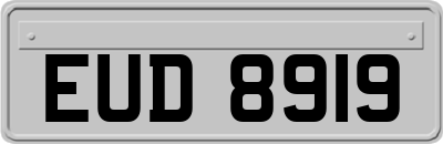 EUD8919