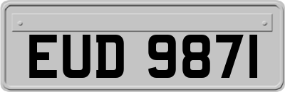 EUD9871