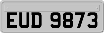 EUD9873
