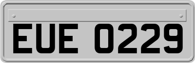 EUE0229