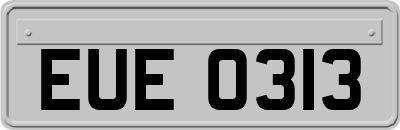 EUE0313