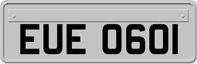 EUE0601