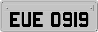 EUE0919
