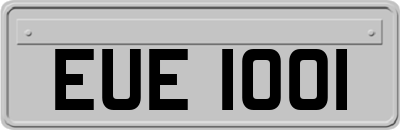 EUE1001