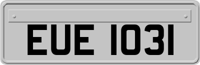 EUE1031