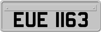 EUE1163