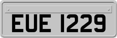 EUE1229