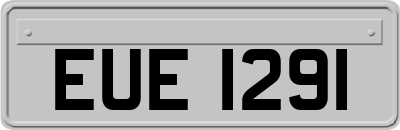 EUE1291