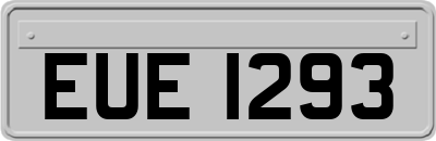 EUE1293