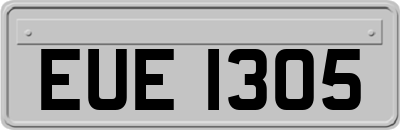 EUE1305