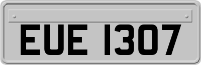 EUE1307