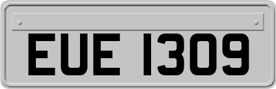 EUE1309