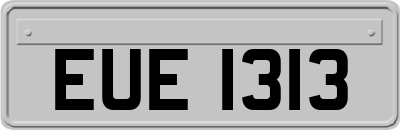 EUE1313