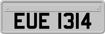 EUE1314