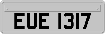EUE1317