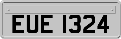 EUE1324
