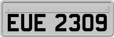EUE2309