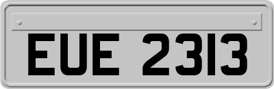 EUE2313