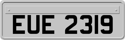 EUE2319