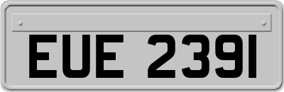 EUE2391