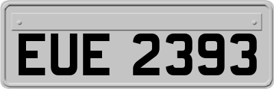 EUE2393