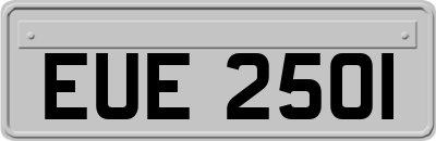 EUE2501