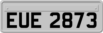 EUE2873