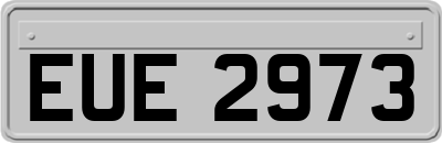 EUE2973