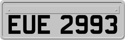 EUE2993