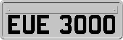 EUE3000