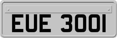 EUE3001